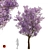 Spring Purple Tree: Highly Detailed 3D Model 3D model small image 14