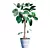 Exquisite Ficus Benghalensis Tree 3D model small image 1