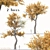 Golden Guardians: Set of 2 Euphrates Poplar Trees 3D model small image 1