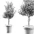 Potted Blossom Tree 3D model small image 3