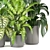 Green Oasis Collection - Set of 280 Indoor Plants 3D model small image 3