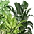 Green Oasis Collection - Set of 280 Indoor Plants 3D model small image 4