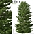 Evergreen Red Spruce Tree: Authentic North American Species 3D model small image 1