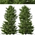 Evergreen Red Spruce Tree: Authentic North American Species 3D model small image 3