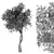 Nature's Symphony: Tree No 2 3D model small image 2