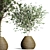 Indoor Plant Collection: 63 Varieties 3D model small image 3