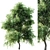 Versatile 2015 Tree Set 3D model small image 1