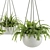 28-Plant Indoor Set: Green Up Your Space 3D model small image 2