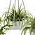 28-Plant Indoor Set: Green Up Your Space 3D model small image 5