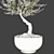 Indoor Olive Tree - Vol. 53 3D model small image 2