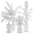 Tropical Indoor Plants Pack 3D model small image 5