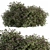 Spring Blossom Bush - Green/Purple 3D model small image 1