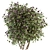 Spring Blossom Bush - Green/Purple 3D model small image 2