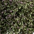 Spring Blossom Bush - Green/Purple 3D model small image 4