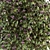 Spring Blossom Bush - Green/Purple 3D model small image 5