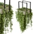 Metal Box Hanging Plants 3D model small image 1