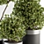 indoor Plant Set 375- Tree and Plant Set in pot 3D model small image 2