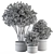 indoor Plant Set 375- Tree and Plant Set in pot 3D model small image 4