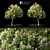 2014 Landscape Tree 8m Render 3D model small image 2