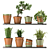 Modern Indoor Plant Collection Nim07 3D model small image 1