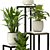 Interior Plant Collection 3D Model 3D model small image 2