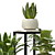 Interior Plant Collection 3D Model 3D model small image 5