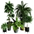 Modern Indoor Plant Collection Set 3D model small image 1