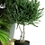 Modern Indoor Plant Collection Set 3D model small image 3