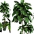 Modern Indoor Plant Collection Set 3D model small image 4