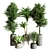 Collection_Indoor_Plant_61 3D Model 3D model small image 1