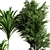 Collection_Indoor_Plant_61 3D Model 3D model small image 3