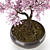 Serene Bonsai Tree Model 3D model small image 3