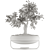 Serene Bonsai Tree Model 3D model small image 5