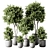 Fresh Green Indoor Plant - 857646 Polys 3D model small image 1