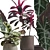 Exotic Indoor Plants Pack 14 3D model small image 2