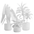 Exotic Indoor Plants Pack 14 3D model small image 3