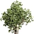 Benjamin Ficus Tree & Concrete Vase 3D model small image 3