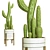 Desert Cactus Collection 3D Model 3D model small image 1