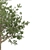 Oak & Pine Duo Forest 3D model small image 3