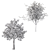 Oak & Pine Duo Forest 3D model small image 5