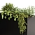 30-Piece Indoor Plant Set 3D model small image 5