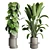 Assorted Indoor Plant Collection 206 3D model small image 2