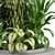 Outdoor Plants Collection Bundle-Variety 3D model small image 2