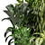 Outdoor Plants Collection Bundle-Variety 3D model small image 4