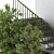 Ivy Garden Stair Architect Element 3D model small image 4