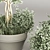 Luxury Indoor 55 Plant Stand 3D model small image 3