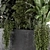 Concrete Pot Outdoor Plant Set 3D model small image 3