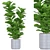 Botanical Haven Collection Set 3D model small image 1