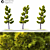 Model Land scape Tree 3D 3D model small image 2