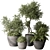  Outdoor Plant Set 393 3D model small image 1